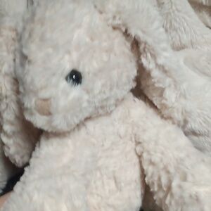 Meet your Posher, Jemma